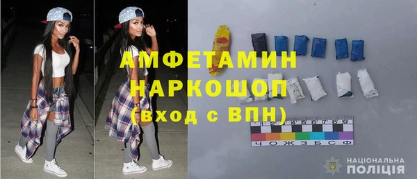 индика Нягань
