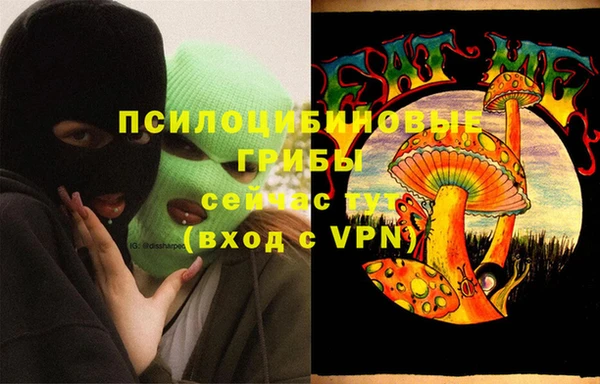 индика Нягань