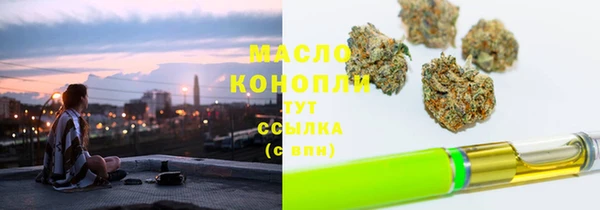 индика Нягань