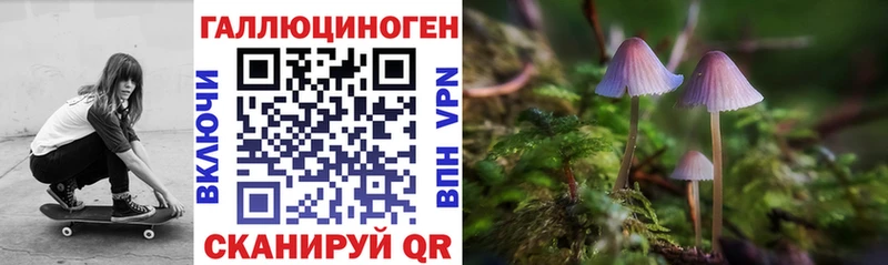 Псилоцибиновые грибы Cubensis  магазин продажи наркотиков  Чебоксары 
