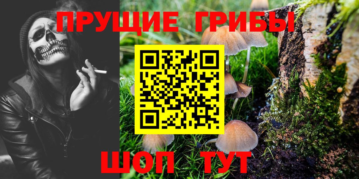 Галлюциногенные грибы Psilocybe Чебоксары