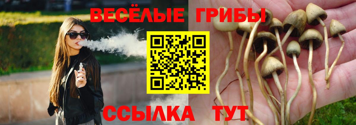 Галлюциногенные грибы мицелий Чебоксары