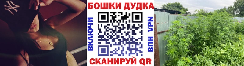 Каннабис гибрид Чебоксары
